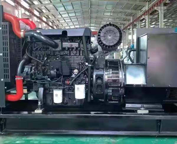 發(fā)電機 (13)